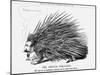 The French Porcupine, 1859-null-Mounted Giclee Print