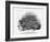 The French Porcupine, 1859-null-Framed Giclee Print