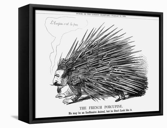 The French Porcupine, 1859-null-Framed Premier Image Canvas