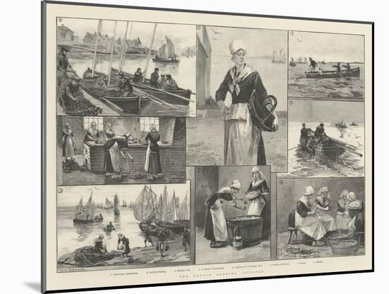 The French Sardine Industry-William Heysham Overend-Mounted Giclee Print