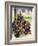 The Friars Come to Britain-Peter Jackson-Framed Giclee Print