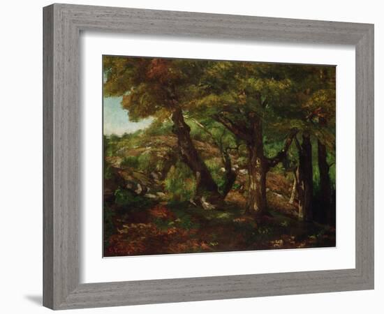 The Fringe of the Forest, C.1856 (Oil on Canvas)-Gustave Courbet-Framed Giclee Print