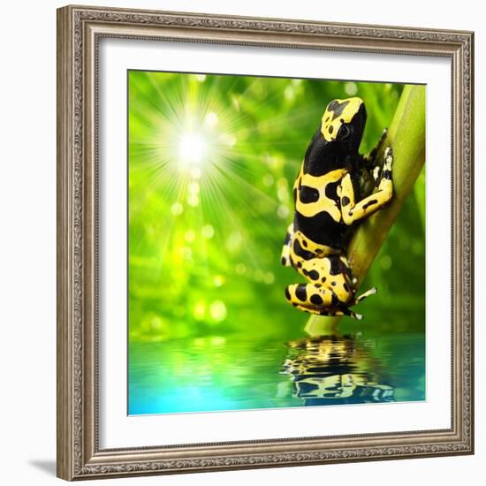 The Frog (Dendrobates Leucomelas) In A Rainforest-Kletr-Framed Art Print