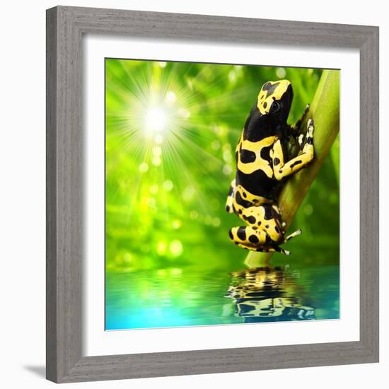 The Frog (Dendrobates Leucomelas) In A Rainforest-Kletr-Framed Art Print