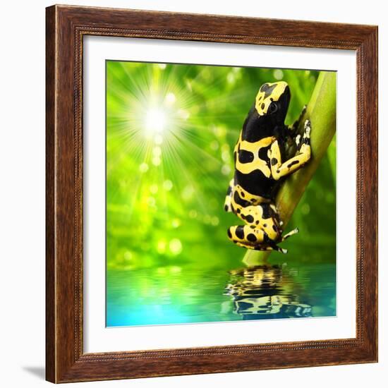 The Frog (Dendrobates Leucomelas) In A Rainforest-Kletr-Framed Art Print