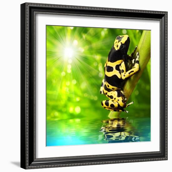 The Frog (Dendrobates Leucomelas) In A Rainforest-Kletr-Framed Art Print