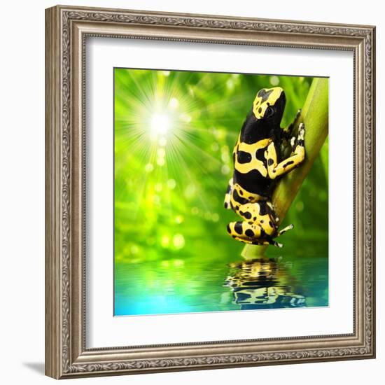 The Frog (Dendrobates Leucomelas) In A Rainforest-Kletr-Framed Art Print