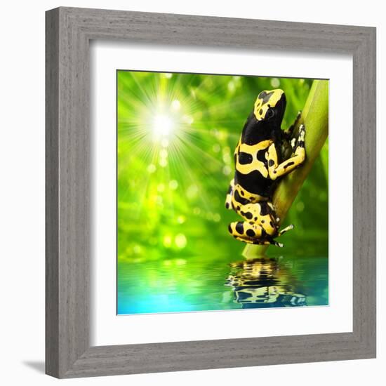 The Frog (Dendrobates Leucomelas) In A Rainforest-Kletr-Framed Art Print