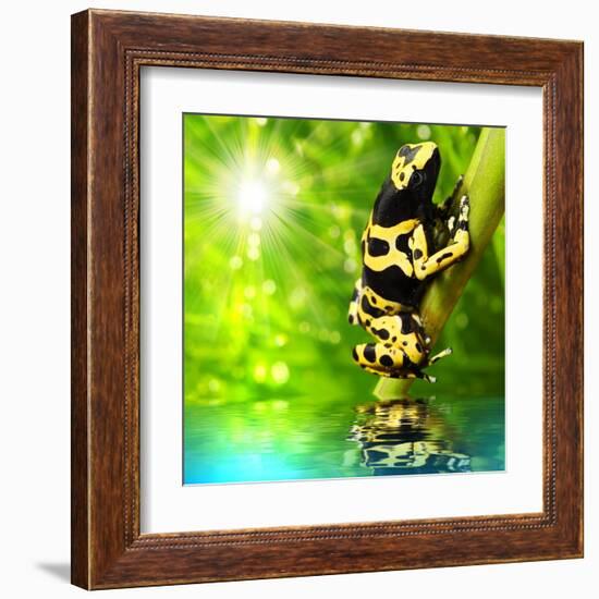 The Frog (Dendrobates Leucomelas) In A Rainforest-Kletr-Framed Art Print