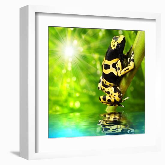 The Frog (Dendrobates Leucomelas) In A Rainforest-Kletr-Framed Art Print