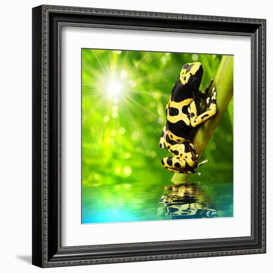 The Frog (Dendrobates Leucomelas) In A Rainforest-Kletr-Framed Art Print