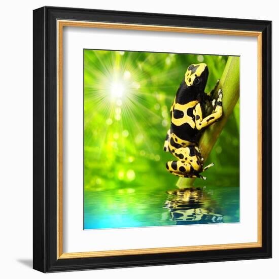 The Frog (Dendrobates Leucomelas) In A Rainforest-Kletr-Framed Art Print