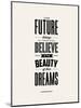 The Future Belongs to Those Who Believe (Eleanor Roosevelt)-Brett Wilson-Mounted Art Print