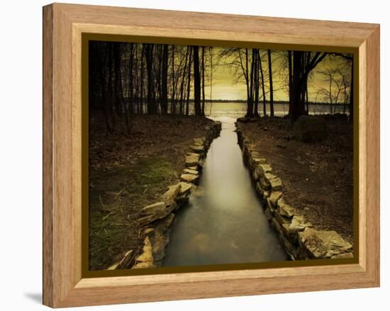 The Future-Irene Suchocki-Framed Premier Image Canvas