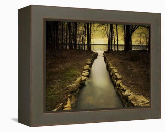 The Future-Irene Suchocki-Framed Premier Image Canvas