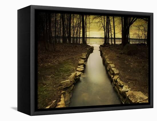 The Future-Irene Suchocki-Framed Premier Image Canvas