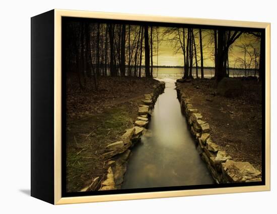 The Future-Irene Suchocki-Framed Premier Image Canvas