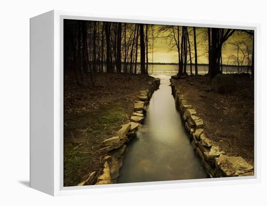 The Future-Irene Suchocki-Framed Premier Image Canvas