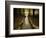 The Future-Irene Suchocki-Framed Photographic Print