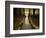 The Future-Irene Suchocki-Framed Premium Photographic Print