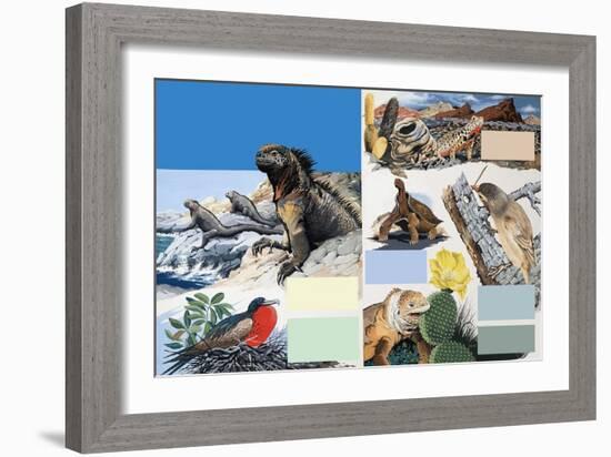 The Galapagos Islands-Arthur Oxenham-Framed Giclee Print