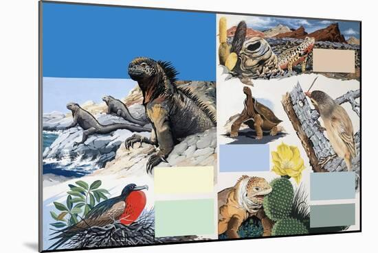 The Galapagos Islands-Arthur Oxenham-Mounted Giclee Print