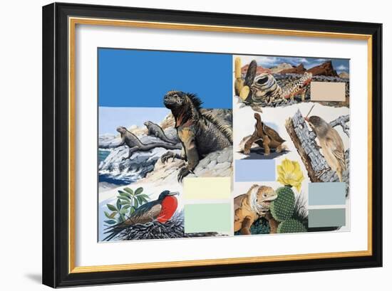 The Galapagos Islands-Arthur Oxenham-Framed Giclee Print