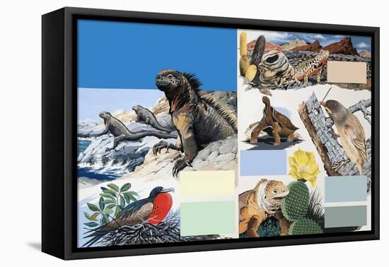 The Galapagos Islands-Arthur Oxenham-Framed Premier Image Canvas