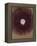 The Galaxy-Petr Strnad-Framed Premier Image Canvas