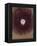 The Galaxy-Petr Strnad-Framed Premier Image Canvas