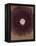 The Galaxy-Petr Strnad-Framed Premier Image Canvas