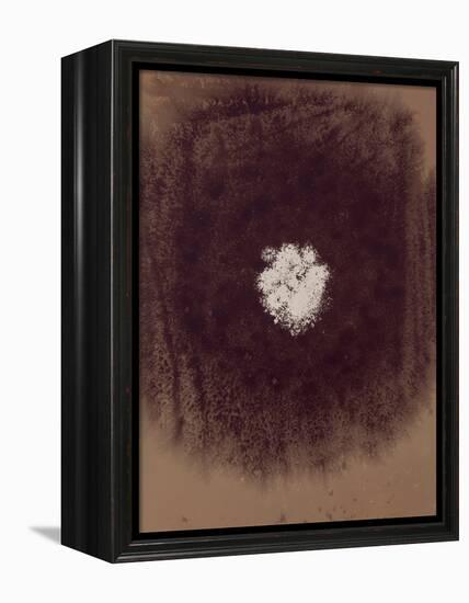 The Galaxy-Petr Strnad-Framed Premier Image Canvas