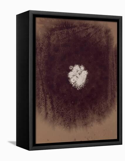 The Galaxy-Petr Strnad-Framed Premier Image Canvas