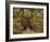 The Gallery of Archduke Leopold Wilhelm-David Teniers the Younger-Framed Giclee Print