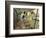 The Gallery of Hms Calcutta (Portsmouth)-James Tissot-Framed Giclee Print