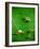 The Gallery-Will Bullas-Framed Giclee Print