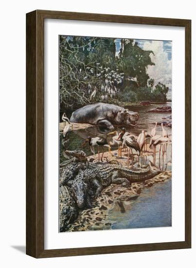 The Gambia River, as Described by Captain Jobson-Harry Hamilton Johnston-Framed Giclee Print