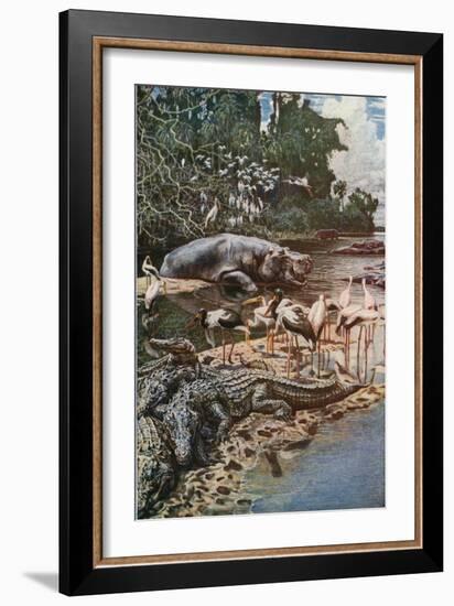 The Gambia River, as Described by Captain Jobson-Harry Hamilton Johnston-Framed Giclee Print