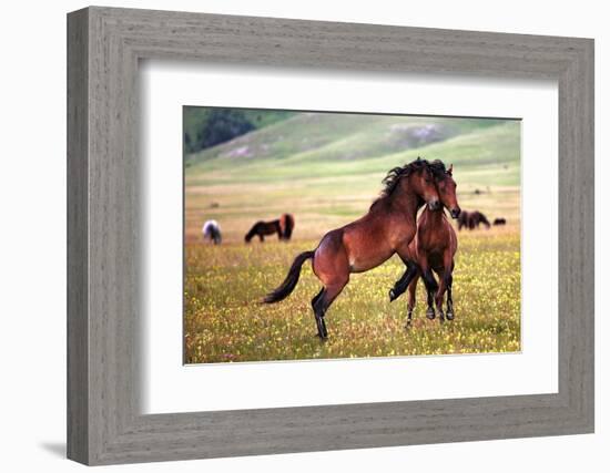 The Game-Vedran Vidak-Framed Photographic Print