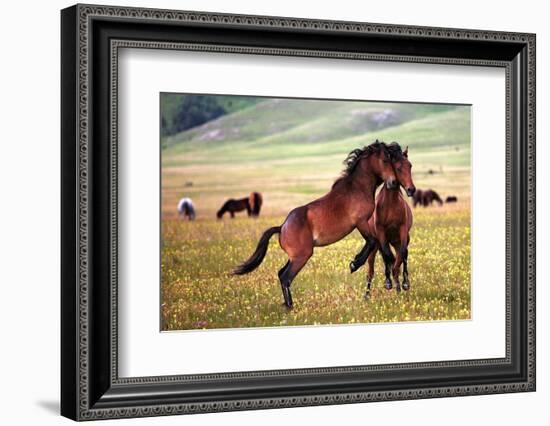 The Game-Vedran Vidak-Framed Photographic Print