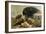 The Gamekeeper's Companion-William Strutt-Framed Giclee Print