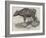The Gaour Calf-Harrison William Weir-Framed Giclee Print
