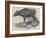 The Gaour Calf-Harrison William Weir-Framed Giclee Print