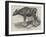 The Gaour Calf-Harrison William Weir-Framed Giclee Print