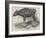 The Gaour Calf-Harrison William Weir-Framed Giclee Print