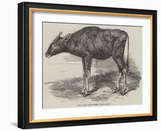 The Gaour Calf-Harrison William Weir-Framed Giclee Print