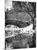 The Gapstow Bridge of Central Park in Winter, Manhattan in New York City-Philippe Hugonnard-Mounted Premium Photographic Print