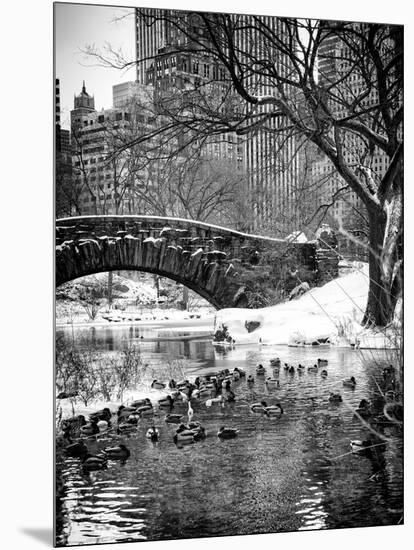 The Gapstow Bridge of Central Park in Winter, Manhattan in New York City-Philippe Hugonnard-Mounted Premium Photographic Print