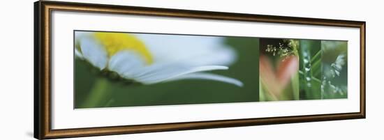 The Garden 2-Florence Delva-Framed Giclee Print