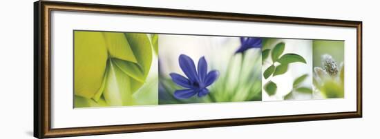 The Garden 5-Florence Delva-Framed Giclee Print